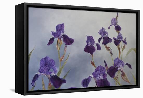 Iris hybrida, 2015-Odile Kidd-Framed Stretched Canvas