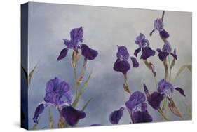 Iris hybrida, 2015-Odile Kidd-Stretched Canvas