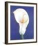 Iris I-D^ Ferrer-Framed Art Print