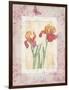 Iris I-Maria Trad-Framed Giclee Print