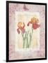 Iris I-Maria Trad-Framed Giclee Print