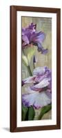 Iris III-Jan McLaughlin-Framed Premium Giclee Print