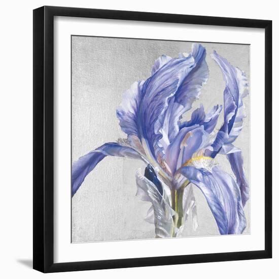 Iris in Argent-Sarah Caswell-Framed Giclee Print