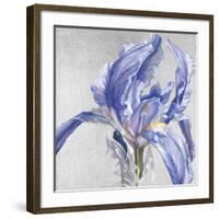 Iris in Argent-Sarah Caswell-Framed Giclee Print