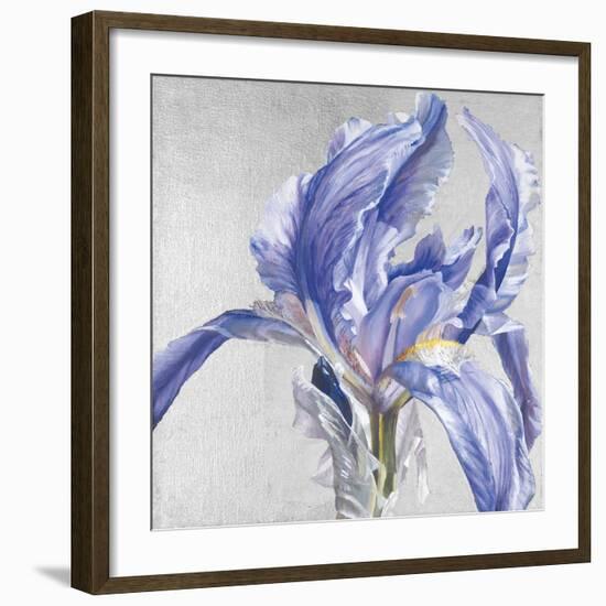 Iris in Argent-Sarah Caswell-Framed Giclee Print