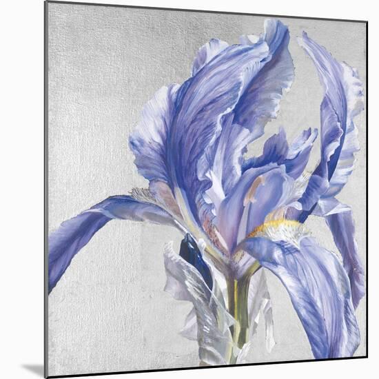 Iris in Argent-Sarah Caswell-Mounted Giclee Print