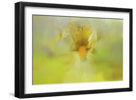 Iris in Lime-Jai Johnson-Framed Giclee Print