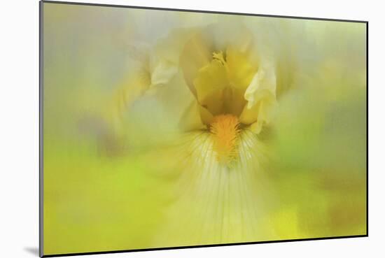 Iris in Lime-Jai Johnson-Mounted Giclee Print