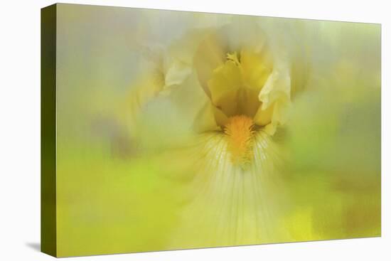 Iris in Lime-Jai Johnson-Stretched Canvas