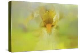 Iris in Lime-Jai Johnson-Stretched Canvas