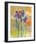 Iris IV-Jenny McGee-Framed Art Print