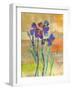 Iris IV-Jenny McGee-Framed Art Print