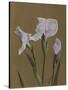 Iris Kaempfer, 1896-Kazumasa Ogawa-Stretched Canvas