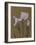 Iris Kaempfer, 1896-Kazumasa Ogawa-Framed Giclee Print