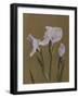 Iris Kaempfer, 1896-Kazumasa Ogawa-Framed Giclee Print