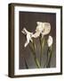 Iris Kaempferi, 19th Century-Ogawa Kazuma-Framed Giclee Print