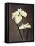 Iris Kaempferi, 19th Century-Ogawa Kazuma-Framed Stretched Canvas