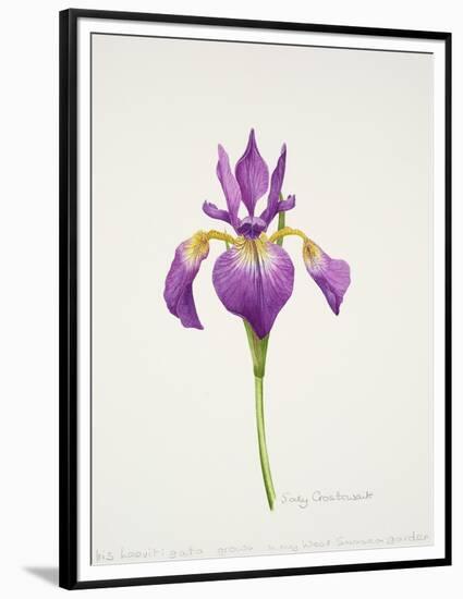 Iris laevitigata-Sally Crosthwaite-Framed Premium Giclee Print