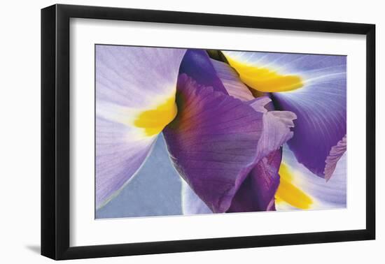 Iris Listening-Harold Davis-Framed Giclee Print