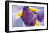 Iris Listening-Harold Davis-Framed Giclee Print