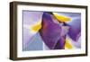 Iris Listening-Harold Davis-Framed Giclee Print