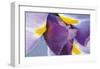 Iris Listening-Harold Davis-Framed Giclee Print