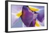 Iris Listening-Harold Davis-Framed Giclee Print