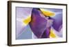 Iris Listening-Harold Davis-Framed Giclee Print