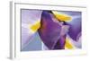 Iris Listening-Harold Davis-Framed Giclee Print