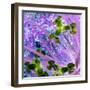 Iris Love-Herb Dickinson-Framed Photographic Print