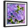 Iris Love-Herb Dickinson-Framed Photographic Print