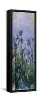 Iris Mauves, 1914-1917-Claude Monet-Framed Stretched Canvas