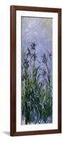 Iris Mauves, 1914-1917-Claude Monet-Framed Giclee Print