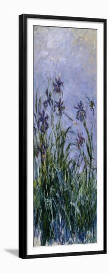 Iris Mauves, 1914-1917-Claude Monet-Framed Giclee Print