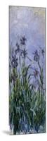 Iris Mauves, 1914-1917-Claude Monet-Mounted Giclee Print