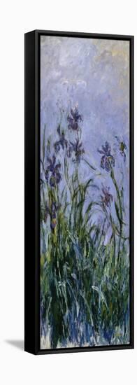 Iris Mauves, 1914-1917-Claude Monet-Framed Stretched Canvas
