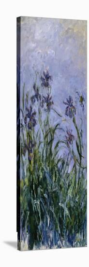 Iris Mauves, 1914-1917-Claude Monet-Stretched Canvas