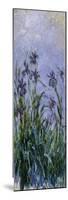 Iris Mauves, 1914-1917-Claude Monet-Mounted Giclee Print
