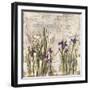 Iris Mist II-Carney-Framed Giclee Print