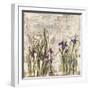 Iris Mist II-Carney-Framed Giclee Print