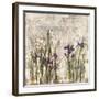 Iris Mist II-Carney-Framed Giclee Print