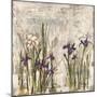 Iris Mist II-Carney-Mounted Giclee Print