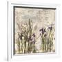 Iris Mist II-Carney-Framed Giclee Print