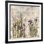 Iris Mist II-Carney-Framed Giclee Print