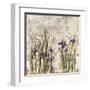 Iris Mist II-Carney-Framed Giclee Print