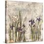 Iris Mist II-Carney-Stretched Canvas