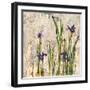 Iris Mist-Carney-Framed Giclee Print