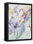 Iris Mixed, Ola Kale and Mary Todd-Karen Armitage-Framed Stretched Canvas