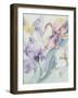 Iris Mixed, Ola Kale and Mary Todd-Karen Armitage-Framed Giclee Print