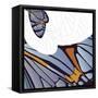 Iris Moth Design-Belen Mena-Framed Stretched Canvas